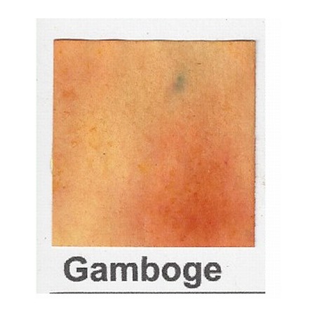 Brushos : Gamboge
