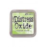 Distress Oxide : Twisted Citron