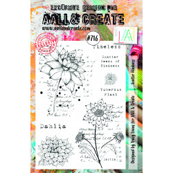AALL and Create Stamp Set -716 