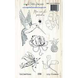 Tampon clear : Collection LITHA - Lily Flowers- La Petite Francaise 