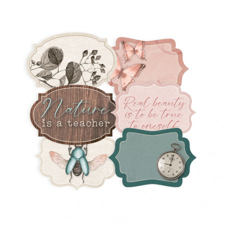 Set de tags Naturalist 04, 6pcs - P13 