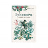 Ephemeras : Feuilles et fleurs Naturalist, 13pcs - P13 