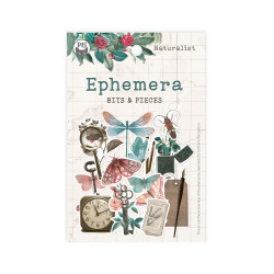 Ephemeras Naturalist, 13pcs - P13 