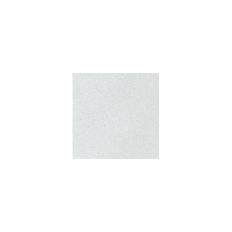 Feuille papier skivertex aspect cuir lisse 30x30cm blanc 