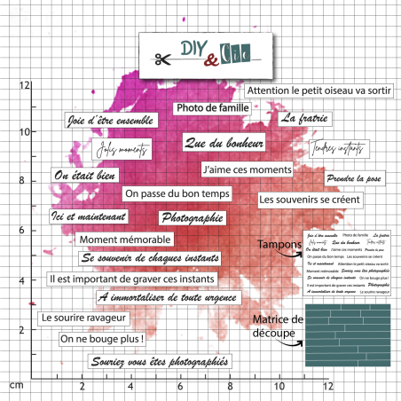 Duo die-tampon clear : Séance photo - DIY and Cie 