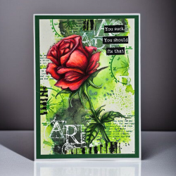 AALL and Create 240 - 6'x6' Stencil- Wild Rose 