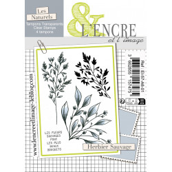 Tampon clear - Herbier Sauvage - lencreetlimage 