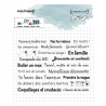 Tampon clear : Vacances et Cie - DIY and Cie 