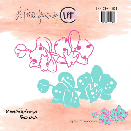 Dies: Collection Coquillages et crustacés - La Petite Française Dies: Collection Coquillages et crustacés - La Petite Française