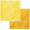 Citronnade 07 - HA PI Little Fox 