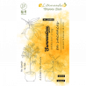 Tampons clear Citronnier - HA PI Little Fox 