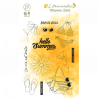 Tampons clear Summer - HA PI Little Fox 