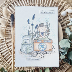 Tampon CLEAR A8 DOUDOU PROVENCE SUD102 - Chou and flowers 