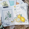 Tampon CLEAR A7 FLEUR DE CITRONNIER SUD107 - Chou and flowers 