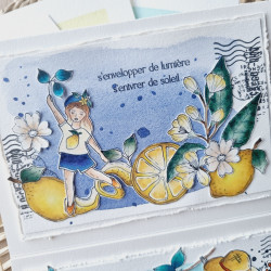 Tampon CLEAR A7 FLEUR DE CITRONNIER SUD107 - Chou and flowers 