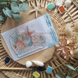 Tampon CLEAR A7 LES COQUILLAGES SUD110 - Chou and flowers 