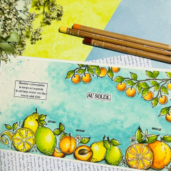 Tampon CLEAR A5 TUTTI FRUTTI SUD121 - Chou and flowers 
