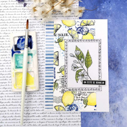 DIE-CUTS JOLIES PHRASES SUD SUD125 - Chou and flowers 