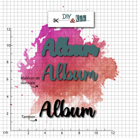 Duo die-tampon clear : Album - DIY and Cie 