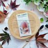 A8 MINI CHAMPIGNONS BOI104 - Chou and flowers 