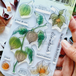 A6 PHYSALIS BOI110 - Chou and flowers 