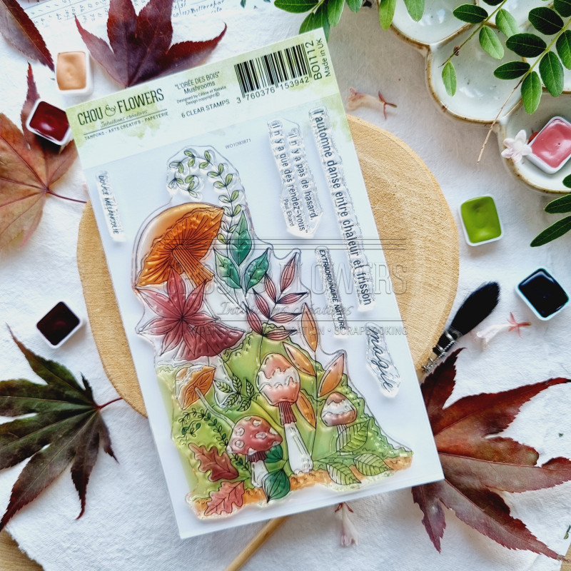 A6 MUSHROOMS BOI112 - Chou and flowers 