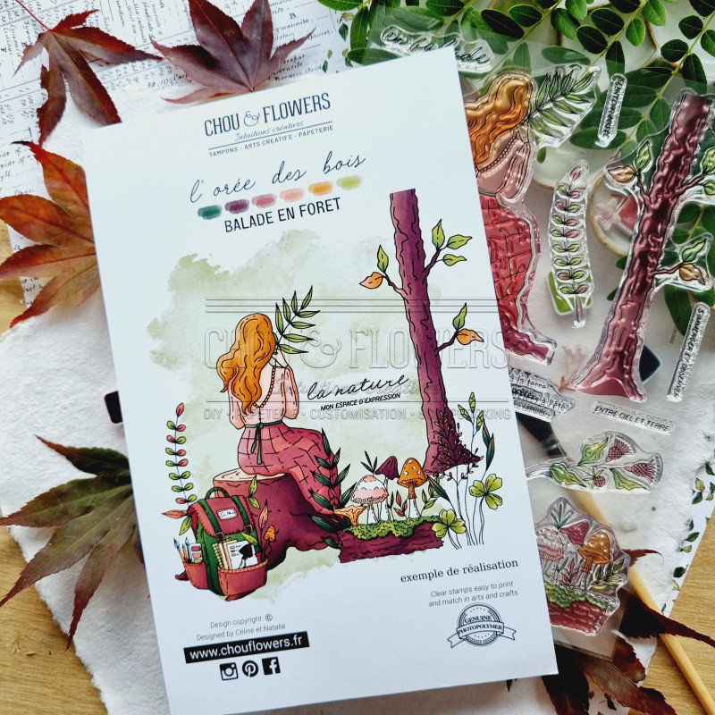 A5 BALADE EN FORET BOI120 - Chou and flowers 