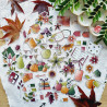 DIE-CUTS CUEILLETTE D'AUTOMNE BOI124 - Chou and flowers 