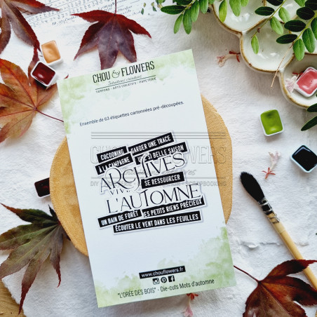 DIE-CUTS MOTS D'AUTOMNE BOI125 - Chou and flowers 