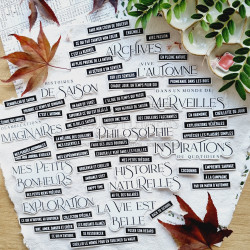 DIE-CUTS MOTS D'AUTOMNE BOI125 - Chou and flowers 