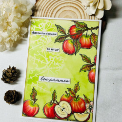 DL LES POMMES BOI113 - Chou and flowers 