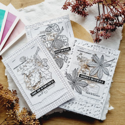 DIE-CUTS MOTS D'AUTOMNE BOI125 - Chou and flowers 
