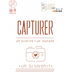 Matrices de découpe Capturer - HA PI Little Fox 