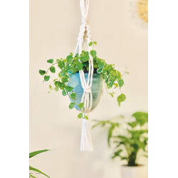 Kit Macramé Mini Suspension - French Kit 