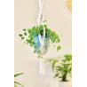 Kit Macramé Mini Suspension - French Kit  Kit Macramé Mini Suspension - French Kit