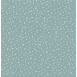 Simili-cuir Etoile des neiges - HA PI Little Fox 