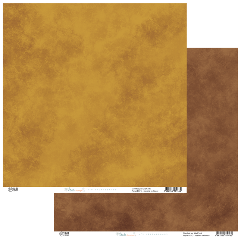 Etoile des neiges 9 - HA PI Little Fox 