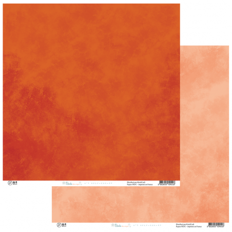 Etoile des neiges 7 - HA PI Little Fox 