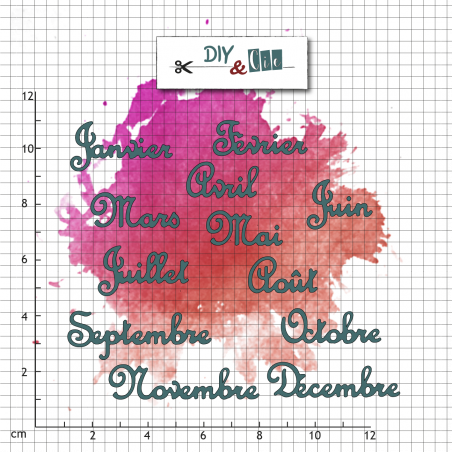 Set de die : Mois de l'année V2 - DIY and Cie 