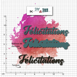 Duo die-tampon clear : Felicitation - DIY and Cie 