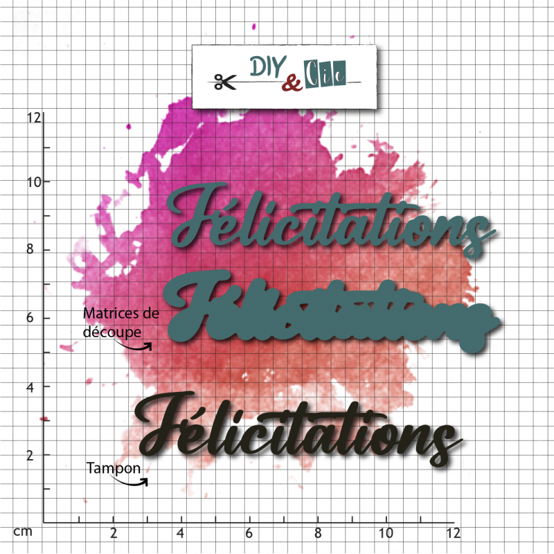 Duo die-tampon clear : Felicitation - DIY and Cie 
