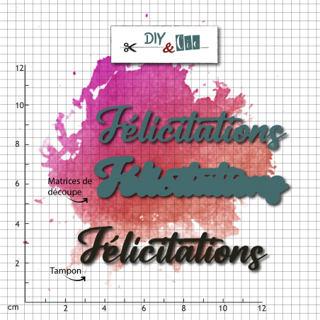 Duo die-tampon clear : Felicitation - DIY and Cie 