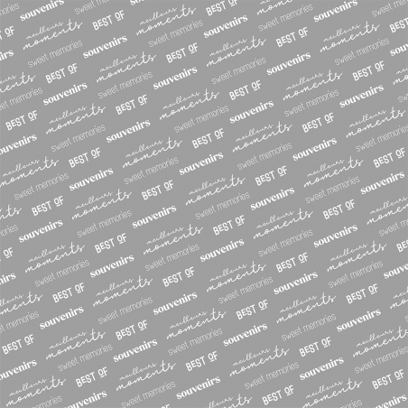 Acétate Bande originale 2026 face A - HA PI Little Fox 