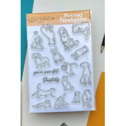 Pawsitivity  