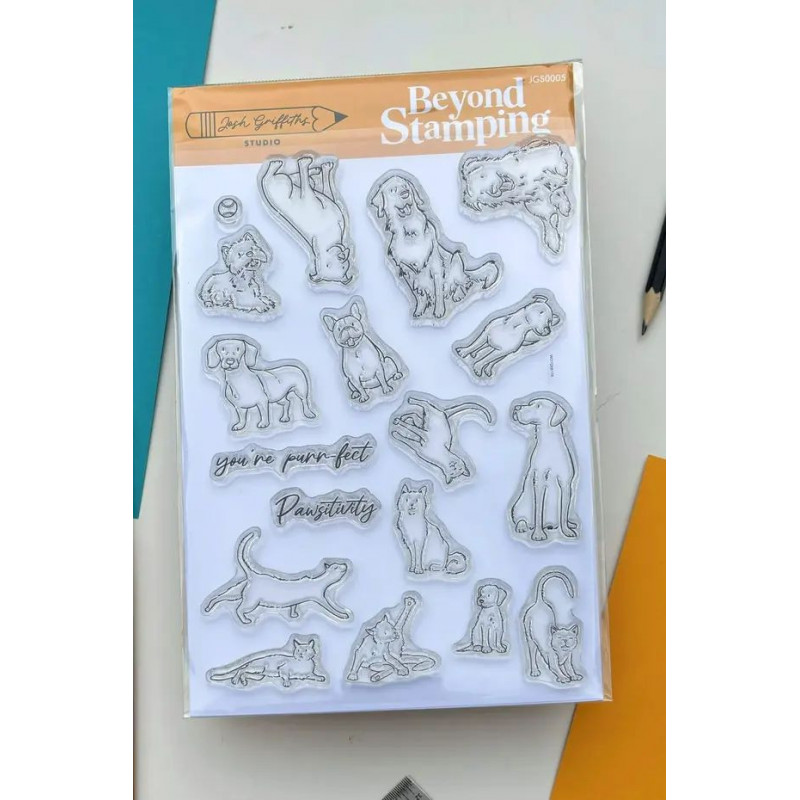 Pawsitivity  