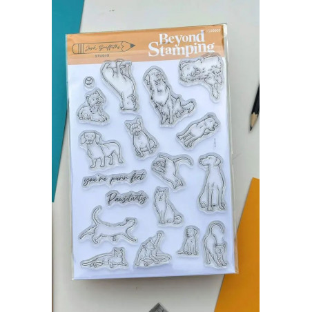 Pawsitivity  