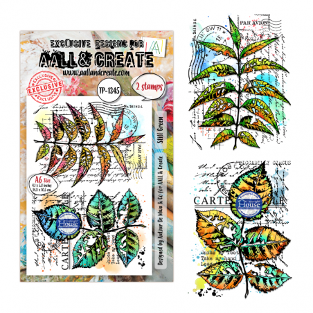 Tampon Clear - 1345 - Still Green - AALL & Create 
