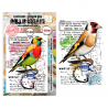 Tampon Clear - 1350 - Whistling Finch - AALL & Create 