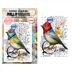 Tampon Clear - 1352 - Cardinal Stare - AALL & Create 