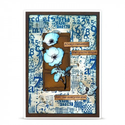 Tampon Clear - 1532 - Graphic Matter - AALL and Create 
